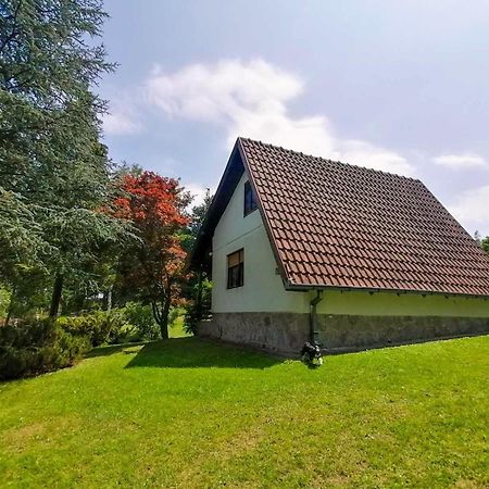 Villa Takovo - Odmor U Selu à Gornji Milanovac Extérieur photo