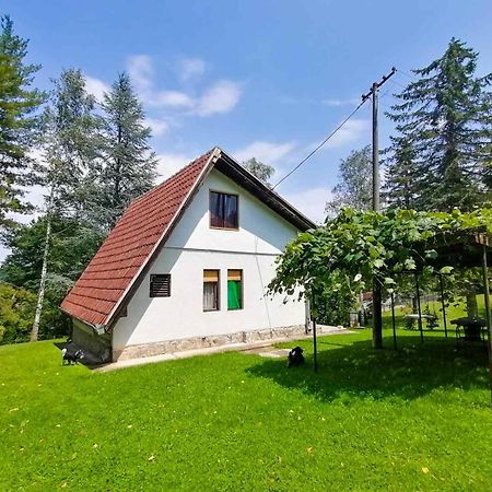 Villa Takovo - Odmor U Selu à Gornji Milanovac Extérieur photo