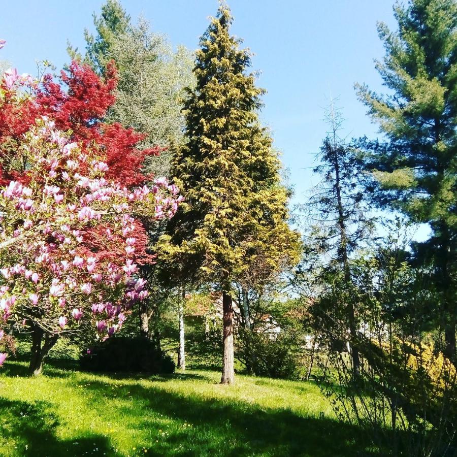 Villa Takovo - Odmor U Selu à Gornji Milanovac Extérieur photo