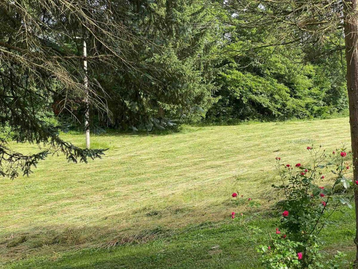 Villa Takovo - Odmor U Selu à Gornji Milanovac Extérieur photo