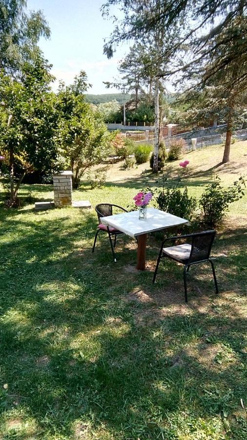 Villa Takovo - Odmor U Selu à Gornji Milanovac Extérieur photo