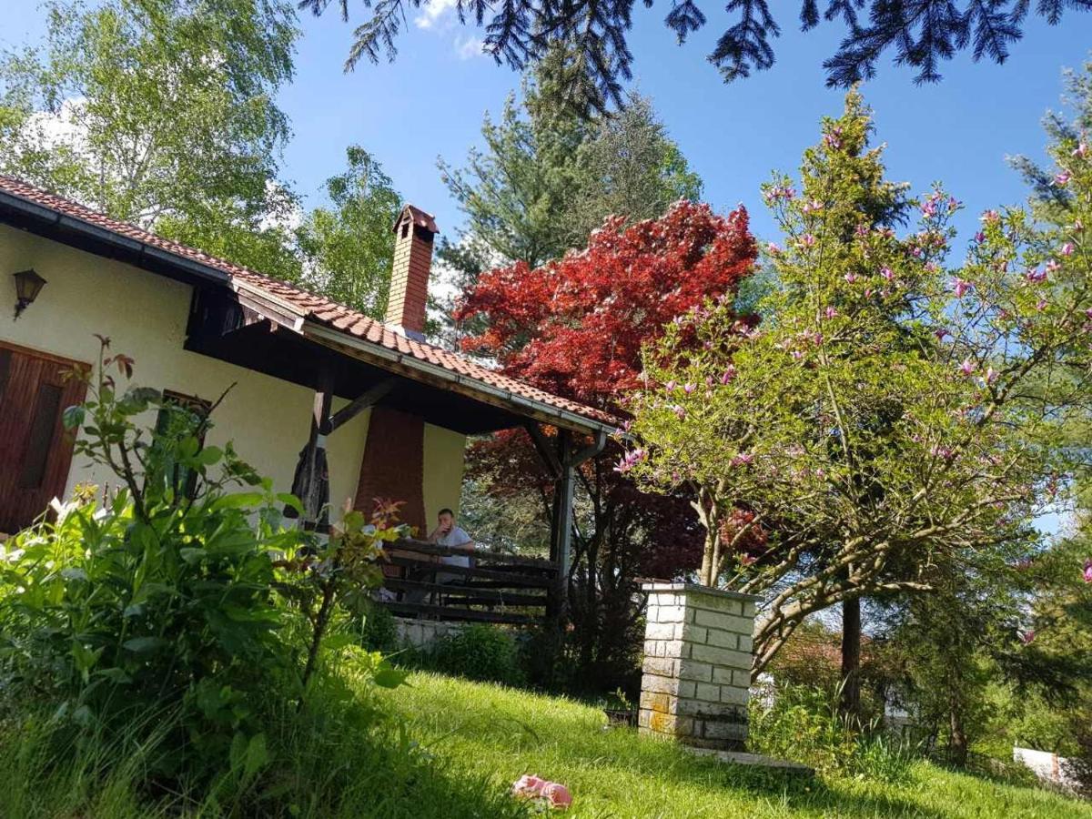 Villa Takovo - Odmor U Selu à Gornji Milanovac Extérieur photo