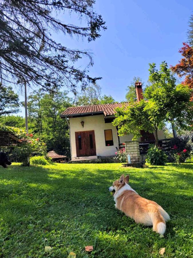 Villa Takovo - Odmor U Selu à Gornji Milanovac Extérieur photo